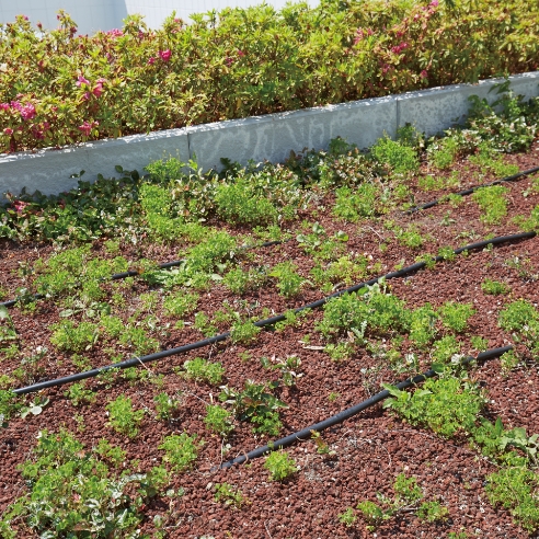 潅水装置　設置例