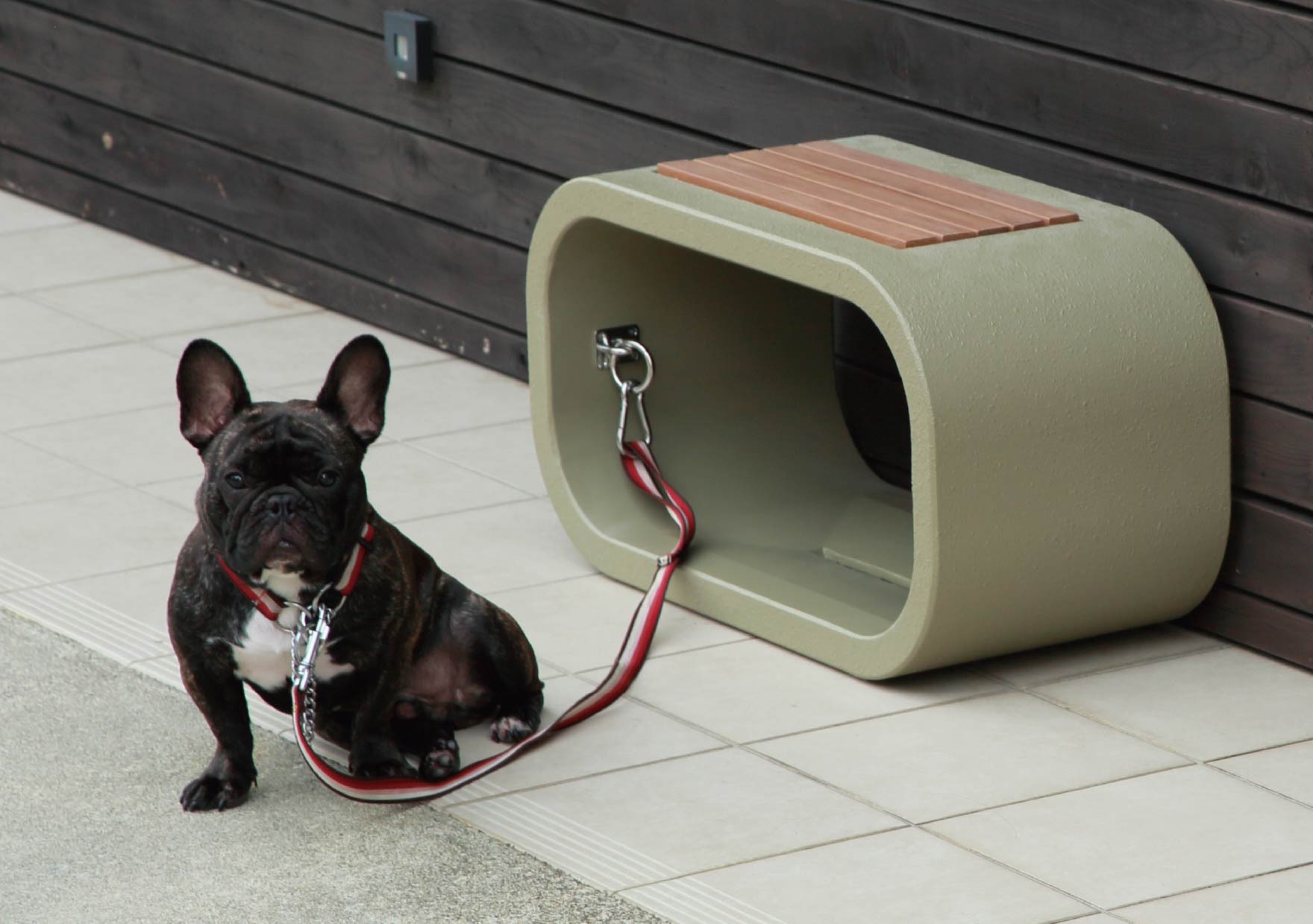 フープ ドッグステイ