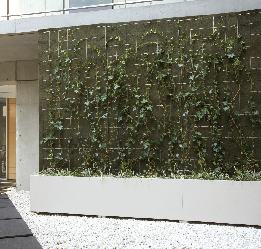 壁面緑化