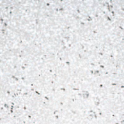 サンドストーン（SS）