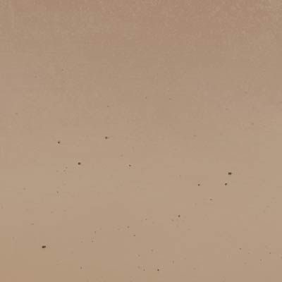 ベージュ（BG）