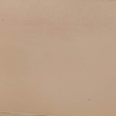 ベージュ（BG2）