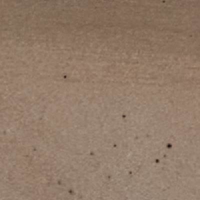 ベージュ（BG2）