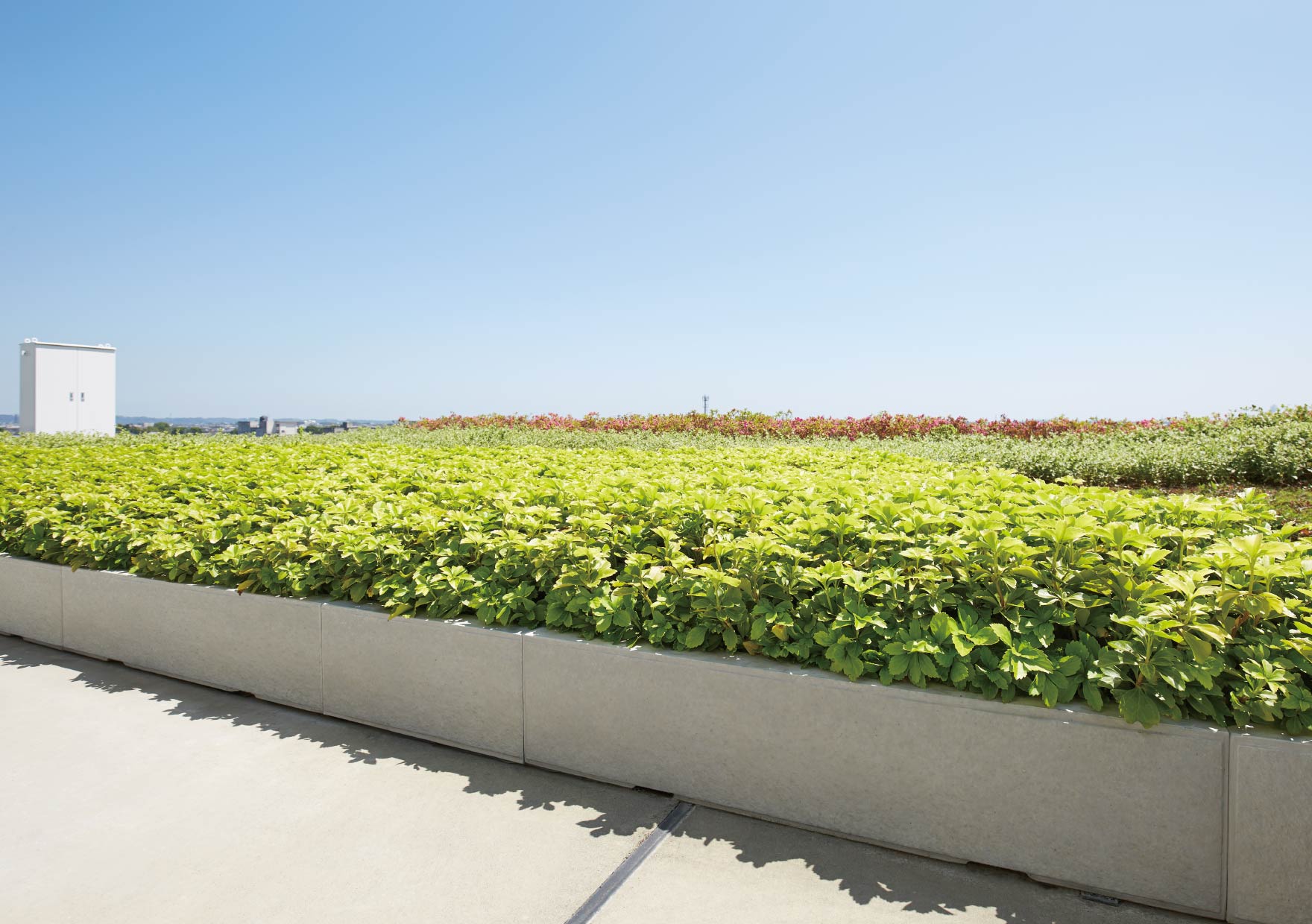 カコッタ 基本パネル