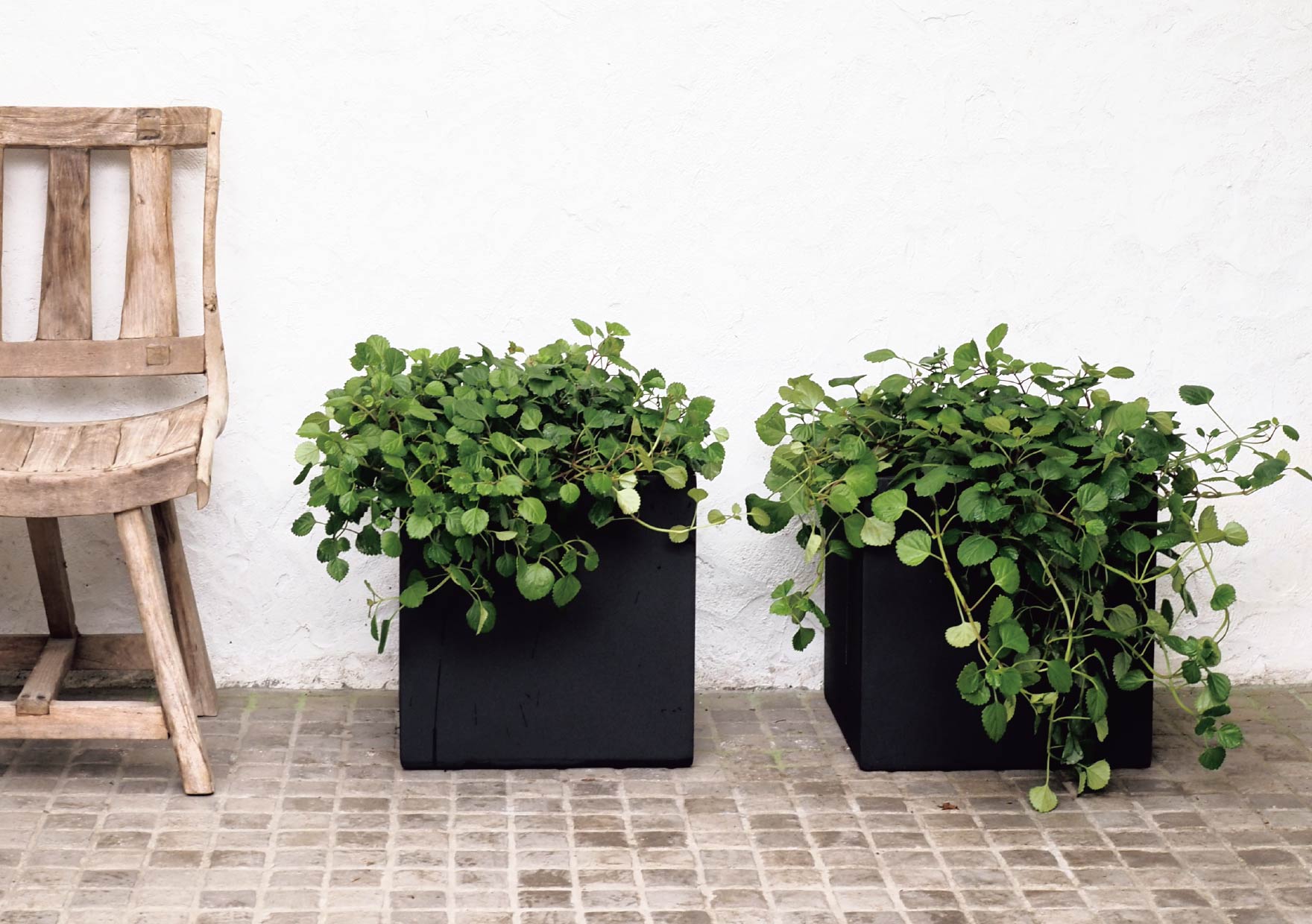 ノッテ・ソンノ・ナチュラル