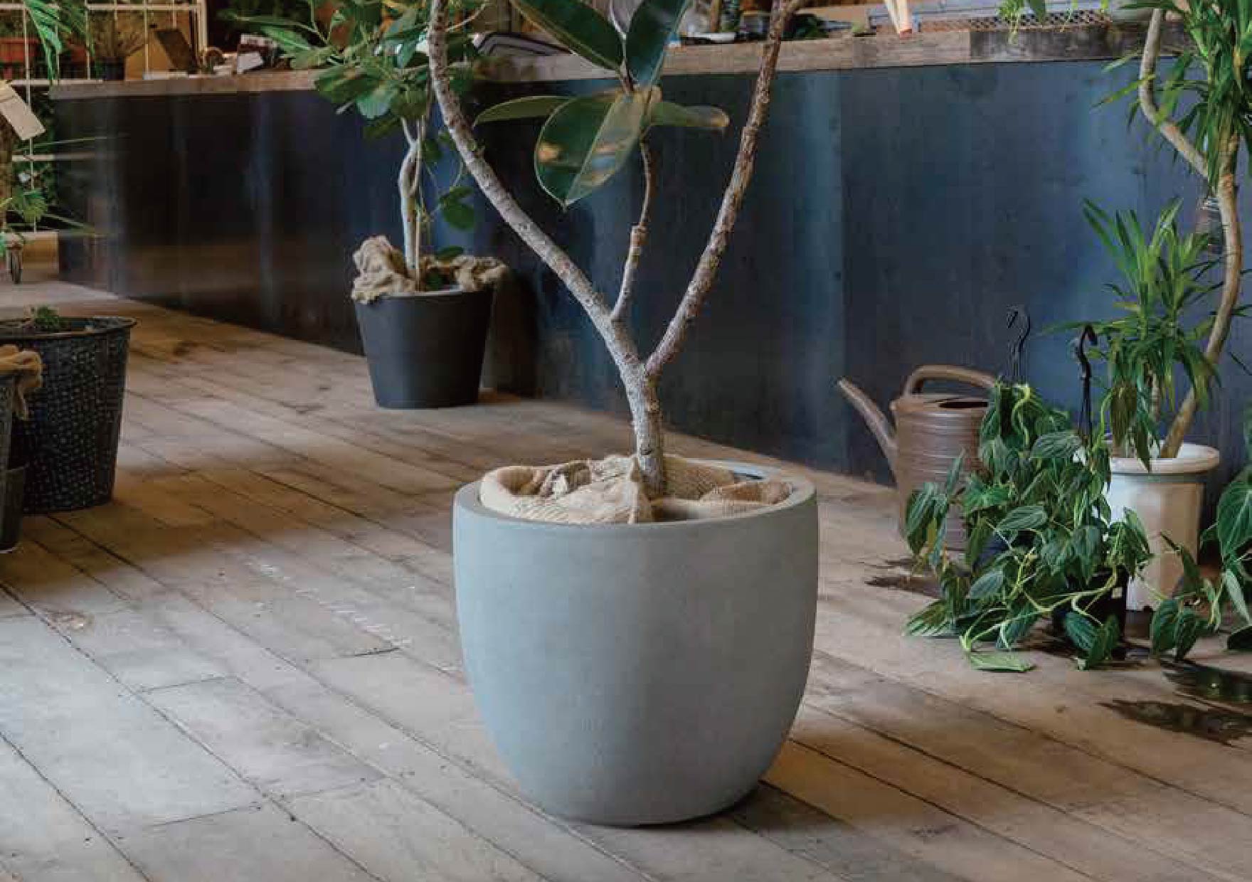 トレーン プランター