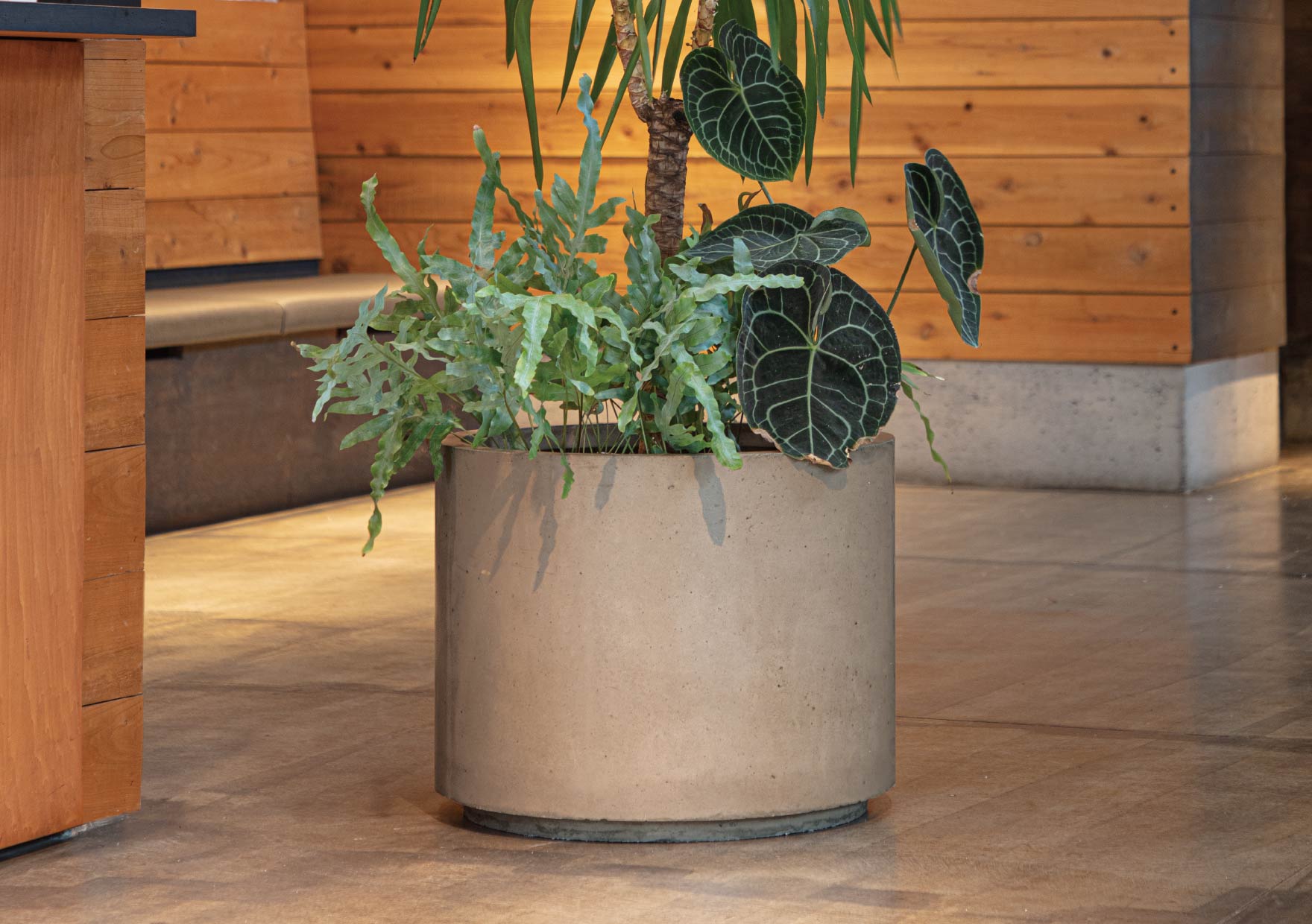 ラスティックM550