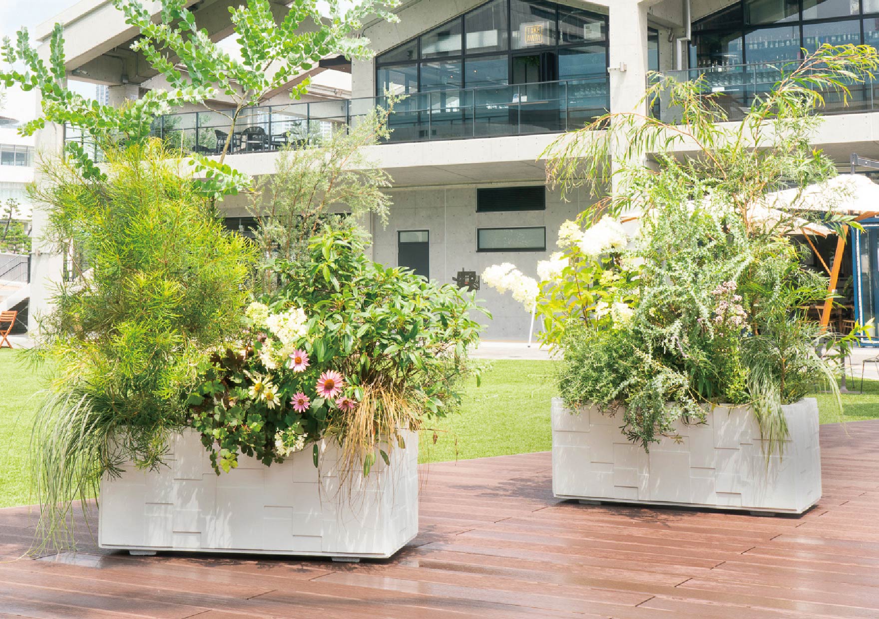 ランダムスクエア