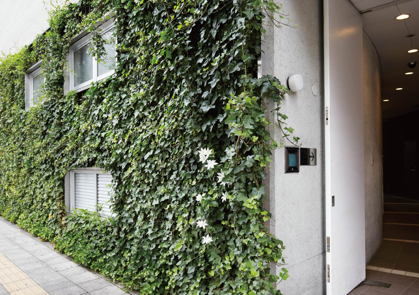 TLC壁面登ハンパネル