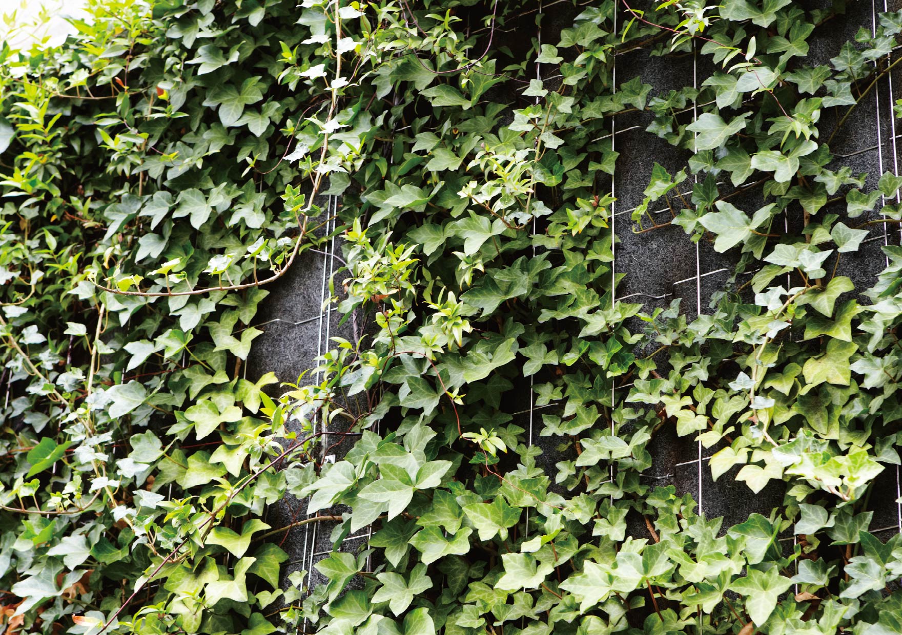 TLC壁面登ハンパネル